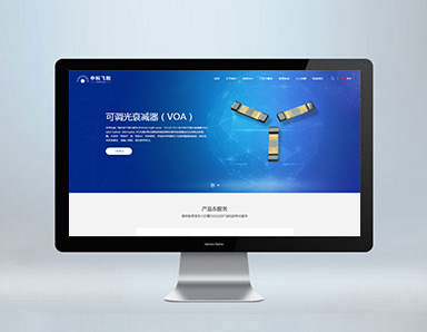 成都网站建设-中科飞阳官网